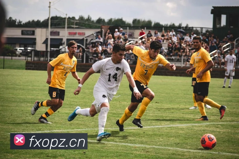 星空电竞官网入口APP 封面图